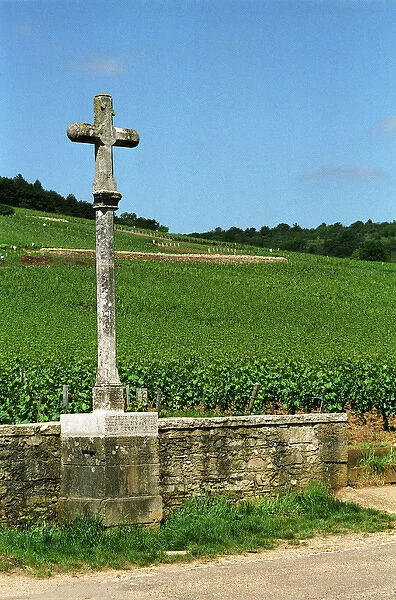 The stone cross marking the Romanee Conti and Richebourg vineyards of Domaine de