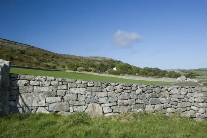 Framed Print : Stone fence, Ireland, Farm, Landscape, Scenic Framed Print : Stone fence, Ireland, Farm, Landscape, Scenic