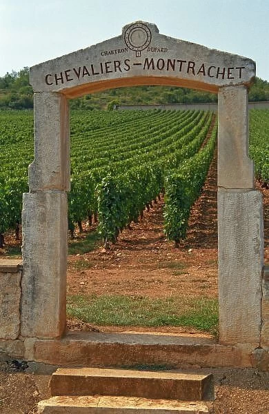 A stone portico to the vineyard Chevalier-Montrachet (Chartron Dupard)