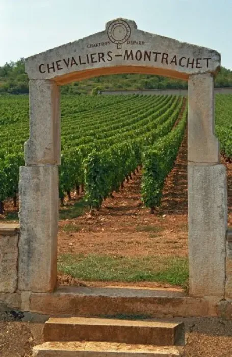 Framed Print : A stone portico to the vineyard Chevalier-Montrachet (Chartron Dupard)