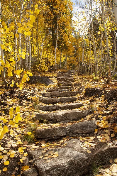 These stone stairs behind Sorensens Resort (now Wylder Hotel) in Hope Valley lead to beautiful aspen trees