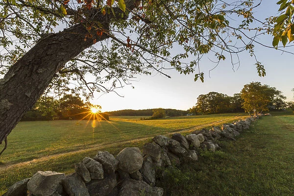 A stone wall and field at sunrise at the Cox Reservation in Essex, Massachusetts