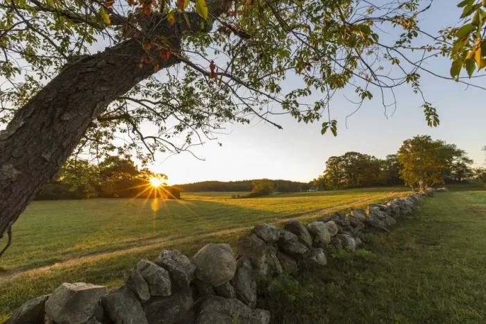 Framed Print : A stone wall and field at sunrise at the Cox Reservation in Essex, Massachusetts