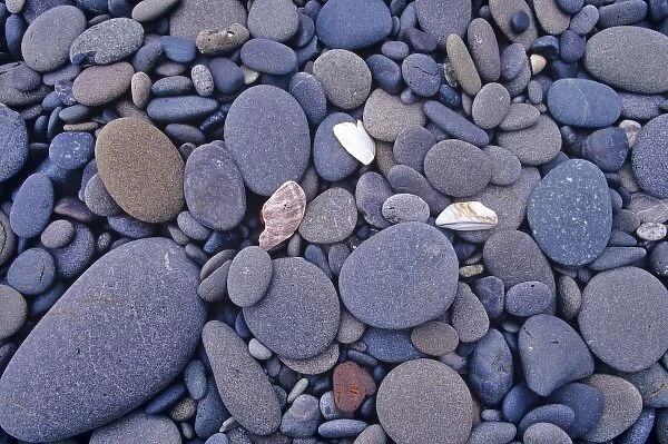 Stones and sea shells along the Pacific Coast at Rialto Beach in Washington