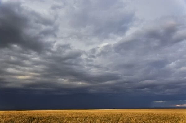 Storm clouds above grassy plains of the Masai Mara Game Reserve, Kenya