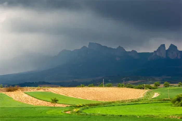 Framed Print : Storm clouds over the Penas Jembrez mountains with a vineyard in the foreground in