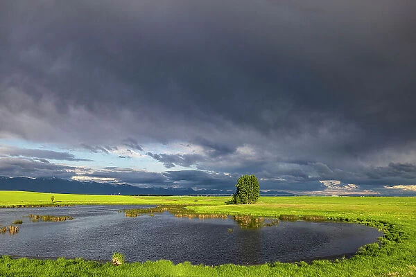 Stormy clouds over wetlands habitat in the Flathead Valley, Montana, USA