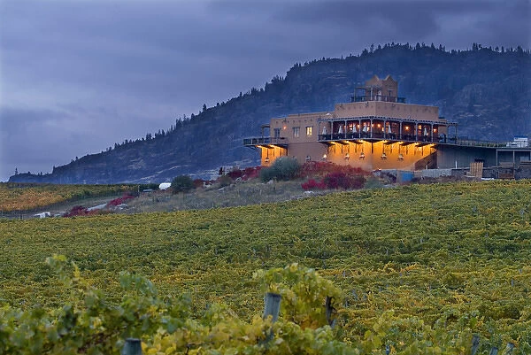 Stormy sky over the fall-colored vineyards and winery of Burrowing Owl Winery with