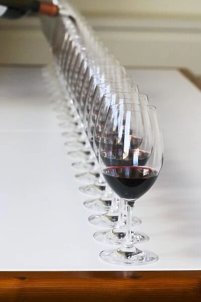 A straight row of glasses lined up for tasting being filled up with red wine - Chateau