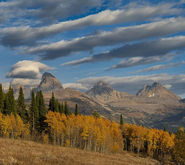 Streaky cirrus and cumulus clouds complement Golden Aspens with Grand