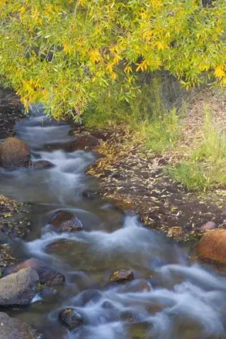 Framed Print : Stream in Fall with the colors reflected in the moving waters, Alabama Hills California Framed Print : Stream in Fall with the colors reflected in the moving waters, Alabama Hills California