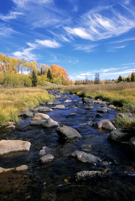 Framed Print : Stream in Fish Lake Mountains, Utah, USA