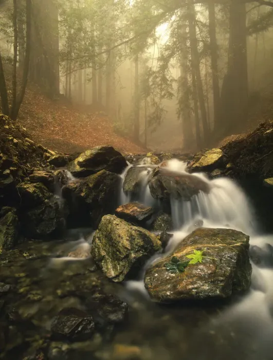 Framed Print : A stream meanders through a fog filled valley on coastal California near Big Sur Framed Print : A stream meanders through a fog filled valley on coastal California near Big Sur