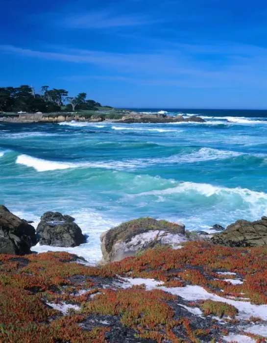 Framed Print : A stretch of beach along the famed Seventeen Mile Drive on Californias Monterey Peninsula Framed Print : A stretch of beach along the famed Seventeen Mile Drive on Californias Monterey Peninsula