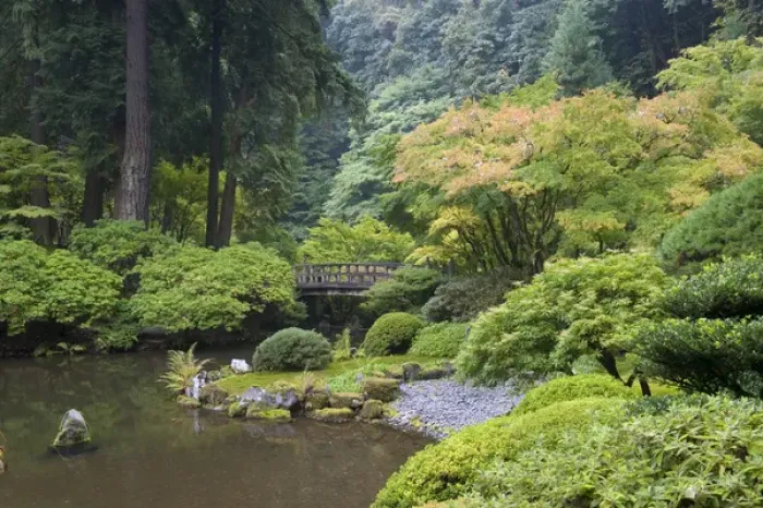 Framed Print : The Strolling Pond with Moon Bridge in the Japanese Garden, Portland, Oregon Framed Print : The Strolling Pond with Moon Bridge in the Japanese Garden, Portland, Oregon