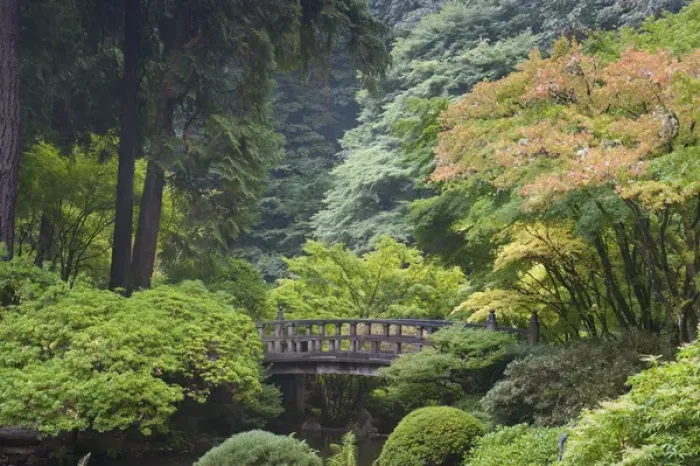 Framed Print : The Strolling Pond with Moon Bridge in the Japanese Garden, Portland, Oregon