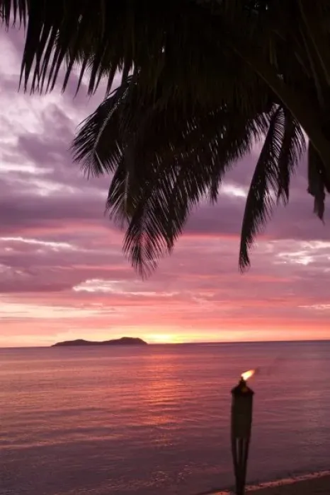 Framed Print : Stunning tropical sunset shinging through foliage. Beqa Island, Fiji Framed Print : Stunning tropical sunset shinging through foliage. Beqa Island, Fiji