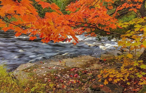 Sturgeon River in autumn near Alberta in the Upper Peninsula of Michigan, USA