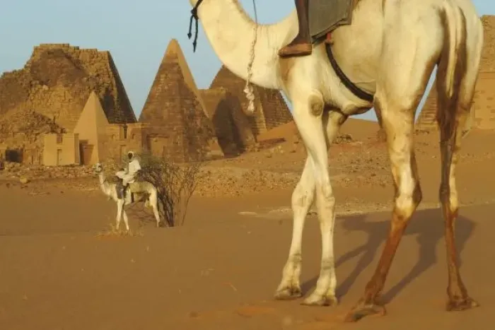 Framed Print : Sudan, North (Nubia), Meroe pyramids with cameldrivers Framed Print : Sudan, North (Nubia), Meroe pyramids with cameldrivers