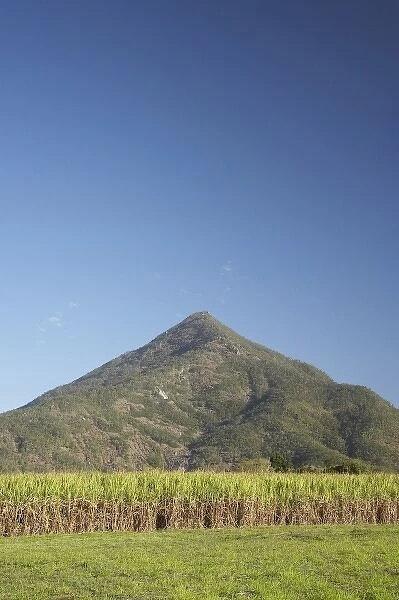 Sugar Cane Fields and Walshs Pyramid, Gordonvale, near Cairns, North Queensland