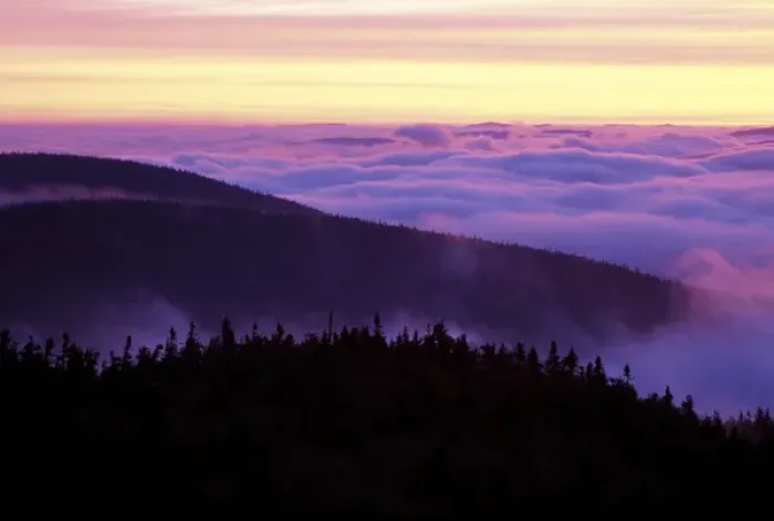 Framed Print : From Sugarloaf Mtn. Sunrise, undercast, fog. Nash Stream State Forest. Northern Forest Framed Print : From Sugarloaf Mtn. Sunrise, undercast, fog. Nash Stream State Forest. Northern Forest
