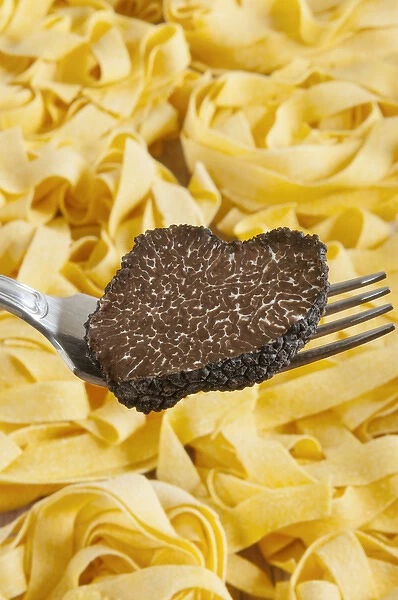 Summer black truffle (Tuber aestivum) on a fork with pasta background