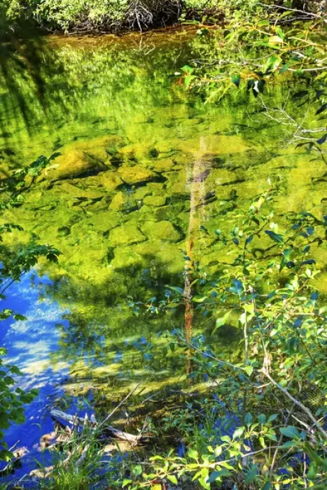 Framed Print : Summer Colors Green Blue Reflection Wenatchee River Reflections Stevens Pass Leavenworth Framed Print : Summer Colors Green Blue Reflection Wenatchee River Reflections Stevens Pass Leavenworth