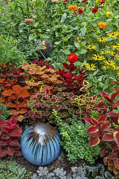 Summer flowers and coleus plants in bronze and reds, Sammamish, Washington State