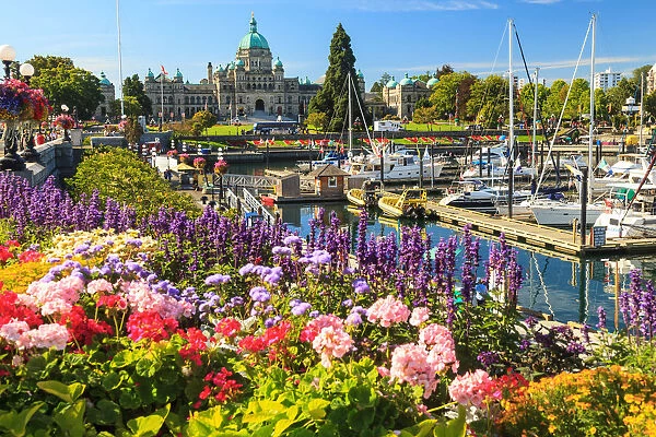 Summer flowers at Inner Harbour, Parliament Buildings behind, Victoria, Capital of British Columbia