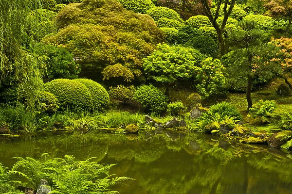 Summer, Upper Pond, Strolling Garden, Portland Japanese Garden, Portland, Oregon, USA