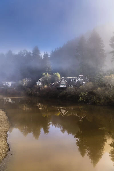 The sun breaking through the fog of a winter morning along the Russian River