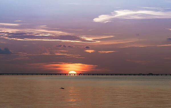 The sun rising behind the Skyway Bridge with stunning purple sky and reflection on the Gulf of Mexico