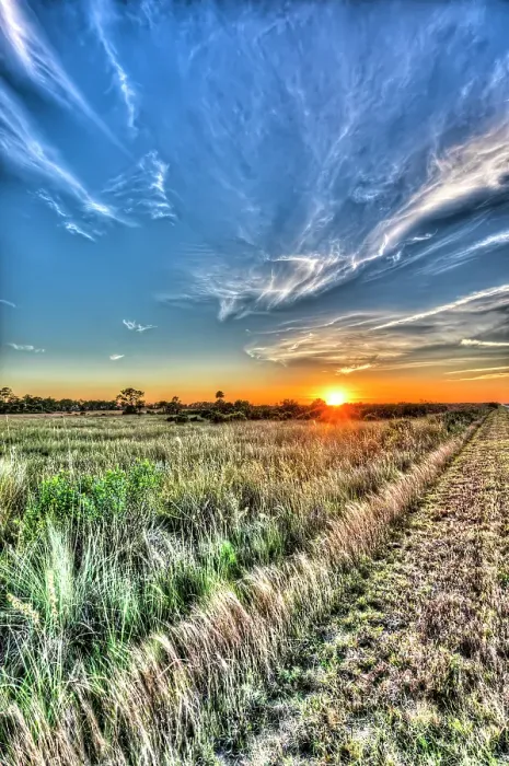 Framed Print : Sun setting over the Big Cypress National Preserve casts a warm glow over the prairie landscape