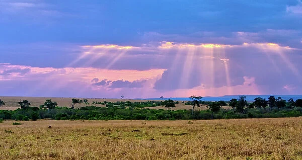 Sun setting on the Masai Mara