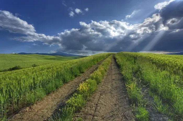 Framed Print : Sunbeams shining through clouds onto rural roadway; Tuscany Framed Print : Sunbeams shining through clouds onto rural roadway; Tuscany