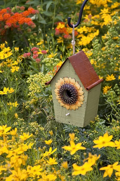 Sunflower birdhouse in garden with Threadleaf Coreopsis (Coreopsis verticillata Golden