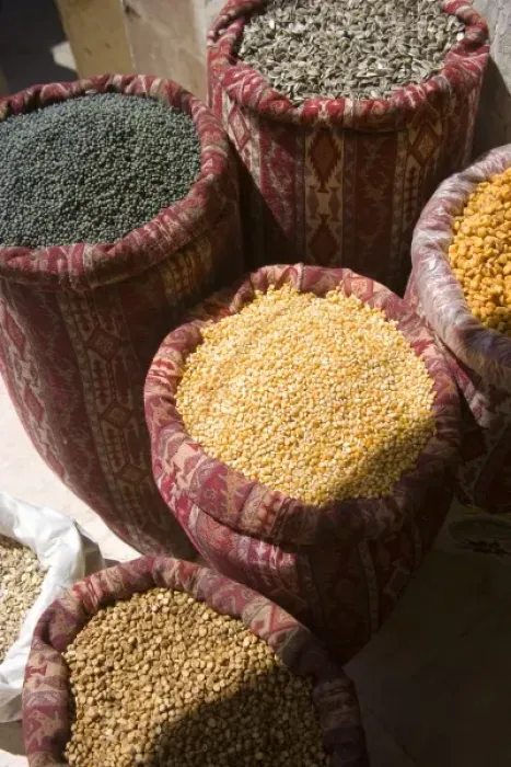 Framed Print : Sunflower seeds, blackcurrants, corn kernels, and roasted chickpeas in sacks, Mardin Framed Print : Sunflower seeds, blackcurrants, corn kernels, and roasted chickpeas in sacks, Mardin