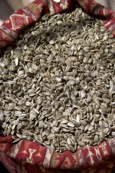 Framed Print : Sunflower seeds in a sack, Mardin, southeast Turkey Framed Print : Sunflower seeds in a sack, Mardin, southeast Turkey
