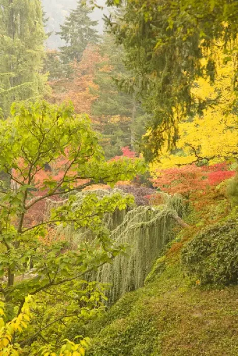 Framed Print : The Sunken Garden, Autumn Colors, Butchart Gardens, National Historic Site of Canada Framed Print : The Sunken Garden, Autumn Colors, Butchart Gardens, National Historic Site of Canada