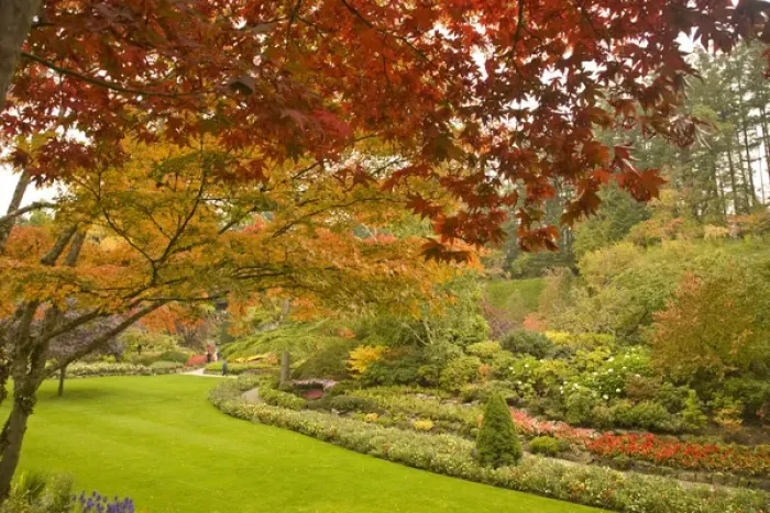 Framed Print : The Sunken Garden, Autumn Colors, Butchart Gardens, National Historic Site of Canada
