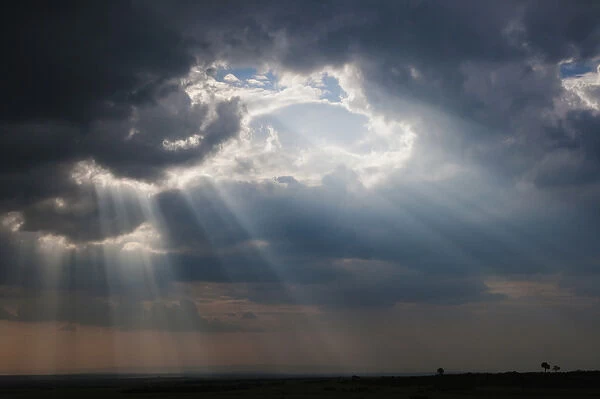 Sunlight breaking through the clouds after thunderstorm, Masai Mara National Reserve