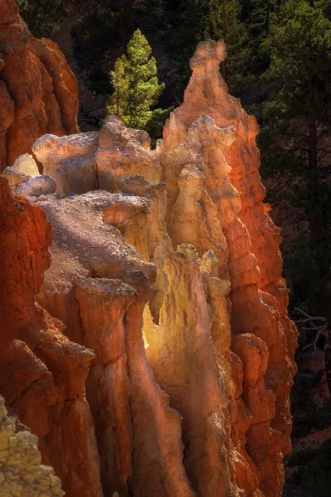 Framed Print : Sunrise at Bryce Canyon National Park, Utah Framed Print : Sunrise at Bryce Canyon National Park, Utah