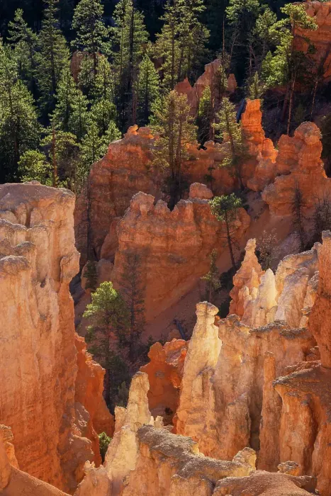Framed Print : Sunrise at Bryce Canyon National Park, Utah Framed Print : Sunrise at Bryce Canyon National Park, Utah