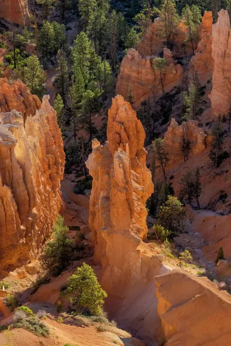 Framed Print : Sunrise at Bryce Canyon National Park, Utah Framed Print : Sunrise at Bryce Canyon National Park, Utah