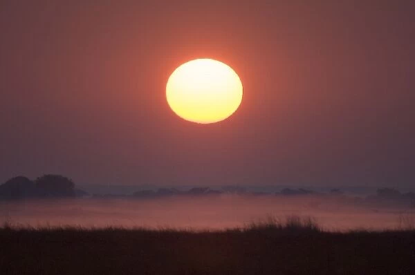 Sunrise, Busanga Plains, Kafue National Park, Zambia