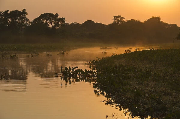 Sunrise on Cuiaba River, Northern Pantanal, Mato Grosso, Brazil