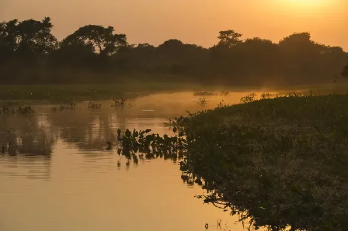 Framed Print : Sunrise on Cuiaba River, Northern Pantanal, Mato Grosso, Brazil