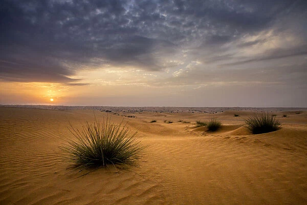 Sunrise in the desert. Abu Dhabi, UAE
