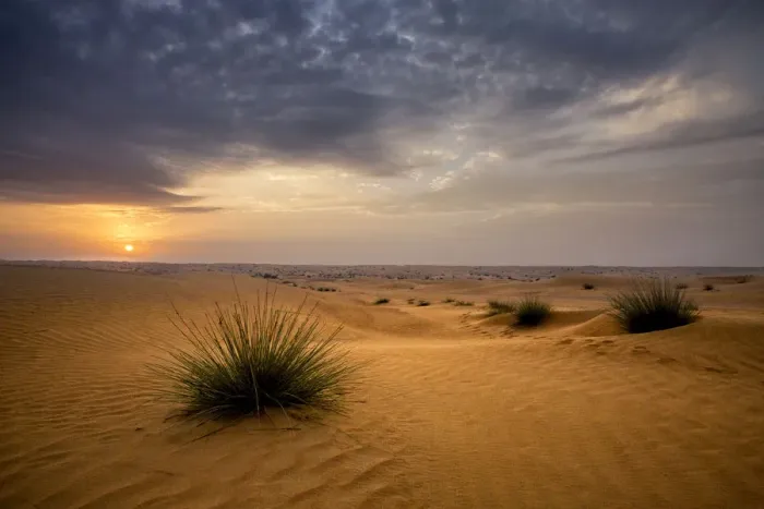 Framed Print : Sunrise in the desert. Abu Dhabi, UAE Framed Print : Sunrise in the desert. Abu Dhabi, UAE
