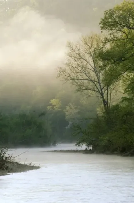 Framed Print : Sunrise through fog viewed from Red Bluff, Mile 102 on the Buffalo River, Buffalo National River Framed Print : Sunrise through fog viewed from Red Bluff, Mile 102 on the Buffalo River, Buffalo National River